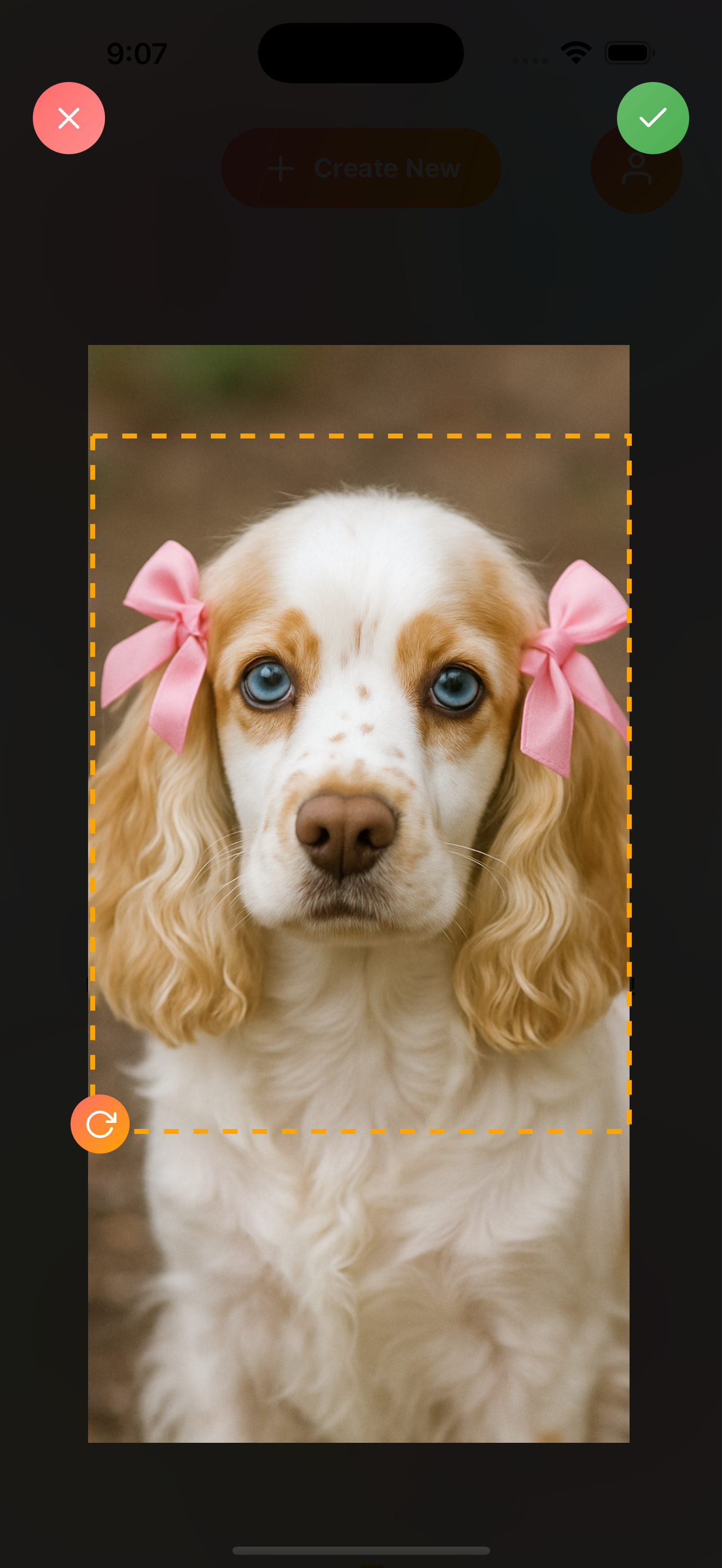 CopyDraw AI photo editor - original cocker spaniel dog photo with pink bows ready for AI coloring page conversion